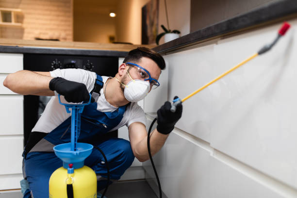 Best Wasp Removal Services  in Madison, FL