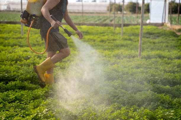 Best Exterminator Services  in Madison, FL