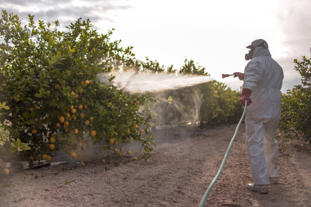 Best Residential Pest Control  in Madison, FL