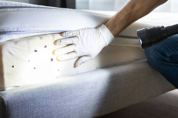 Best Pest Control Near Me in Madison, FL