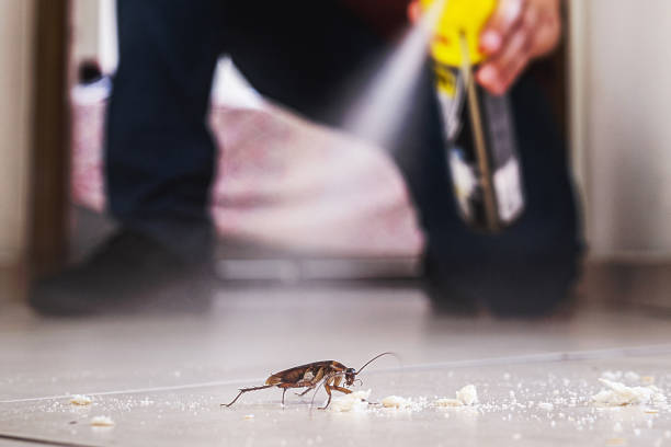 Best Flea Control Services  in Madison, FL